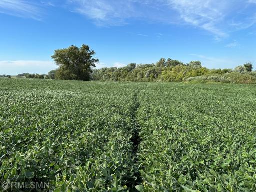 xxxx W 265Th, Farmington, MN 55024