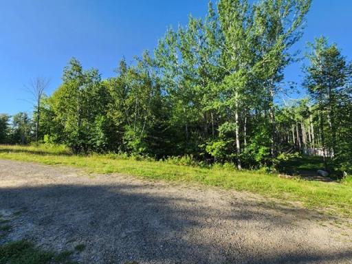 04 Wooded area across the road from camping spot.jpg