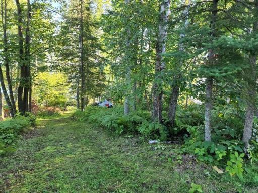 05 Path to the lake.jpg