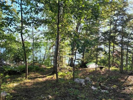 05 Path to the lake (2).jpg