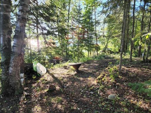 02 Cleared area in front of cabin.jpg