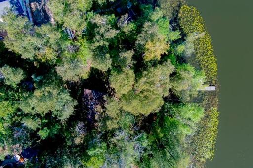 38013_LittleMooseLkRd (9).jpg