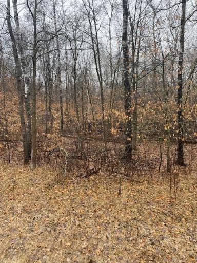 Photo for xxxx Navaho, Breezy Point, MN 56472 - Listing #6189971 xxxx Navaho, Breezy Point, MN 56472