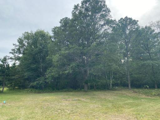 17631 County Road 7, Verndale, MN 56481