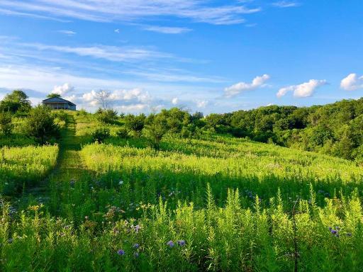 28153 Everyday Road, Lanesboro, MN 55949