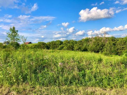 28153 Everyday Road, Lanesboro, MN 55949