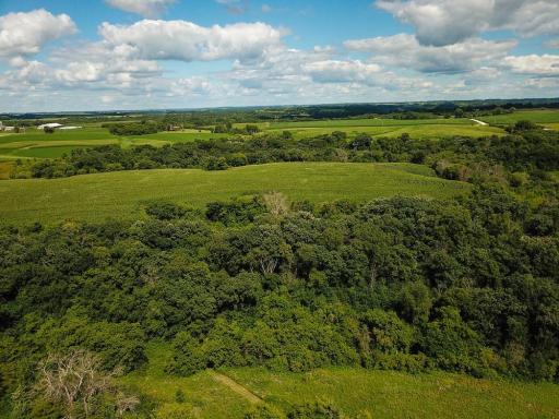 28153 Everyday Road, Lanesboro, MN 55949