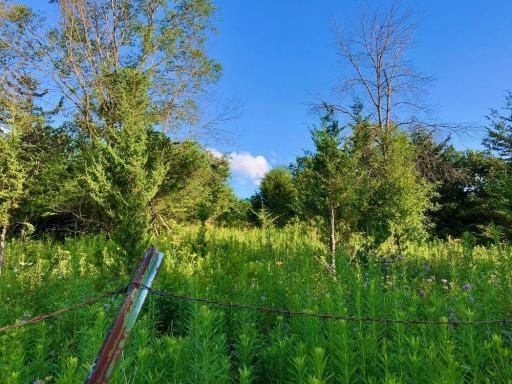 28153 Everyday Road, Lanesboro, MN 55949