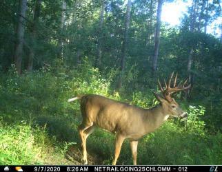 W20838 Call Valley Road, Strum, WI 54770