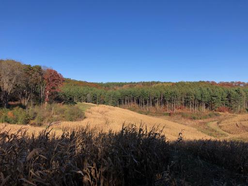 W20838 Call Valley Road, Strum, WI 54770