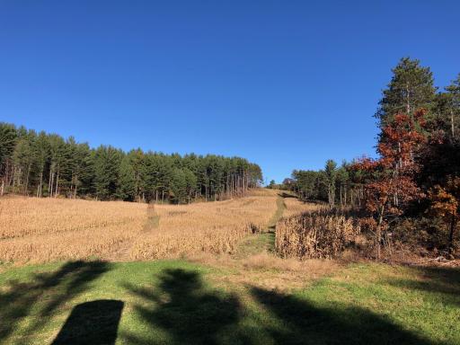 W20838 Call Valley Road, Strum, WI 54770