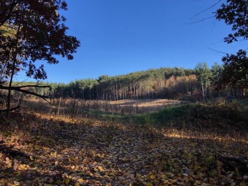 W20838 Call Valley Road, Strum, WI 54770