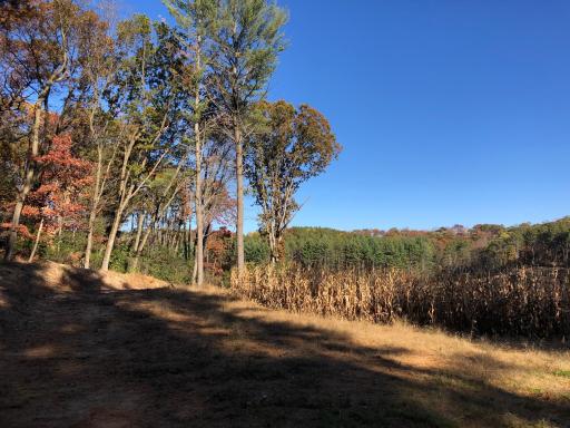 W20838 Call Valley Road, Strum, WI 54770
