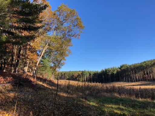 W20838 Call Valley Road, Strum, WI 54770