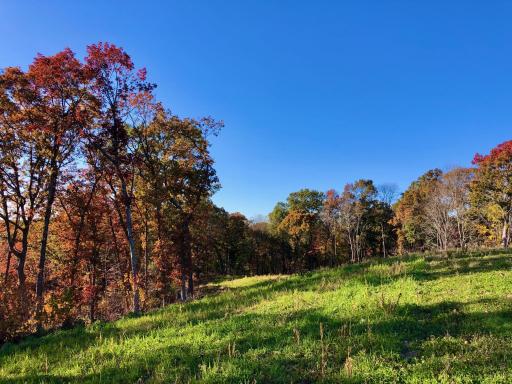 W20838 Call Valley Road, Strum, WI 54770