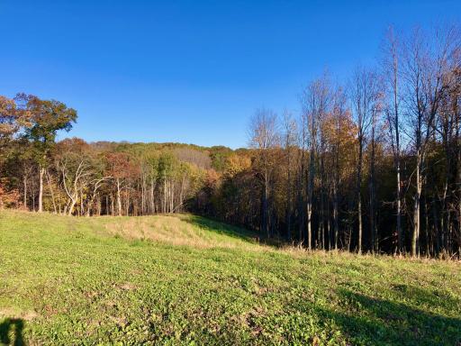 W20838 Call Valley Road, Strum, WI 54770