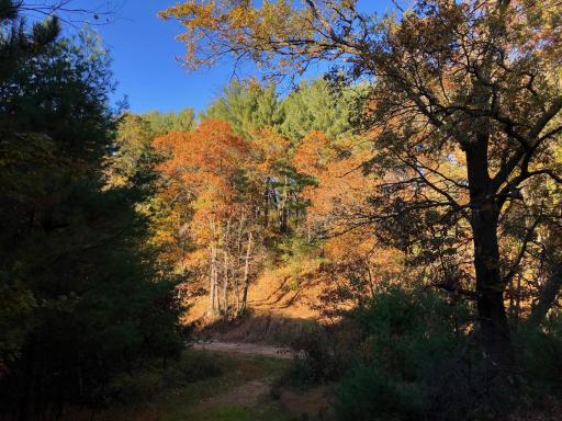 W20838 Call Valley Road, Strum, WI 54770