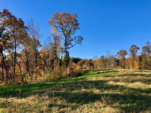 W20838 Call Valley Road, Strum, WI 54770