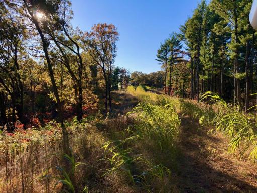 W20838 Call Valley Road, Strum, WI 54770