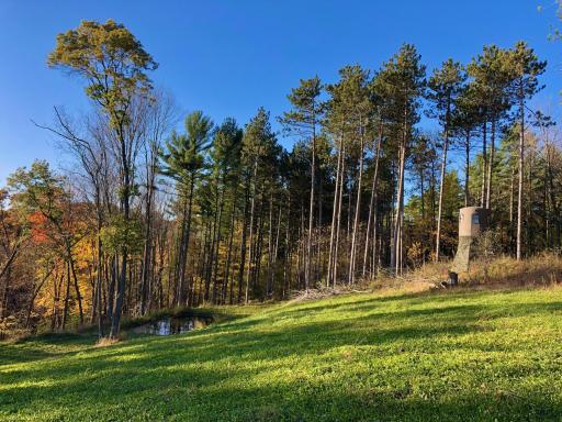 W20838 Call Valley Road, Strum, WI 54770