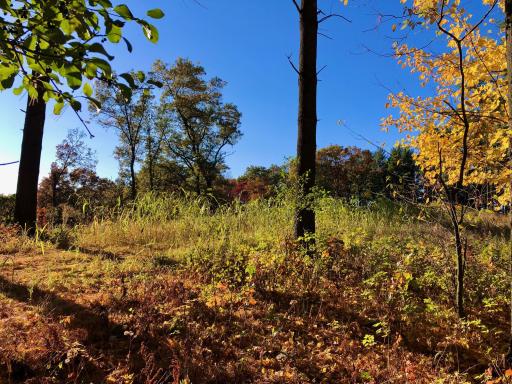 W20838 Call Valley Road, Strum, WI 54770