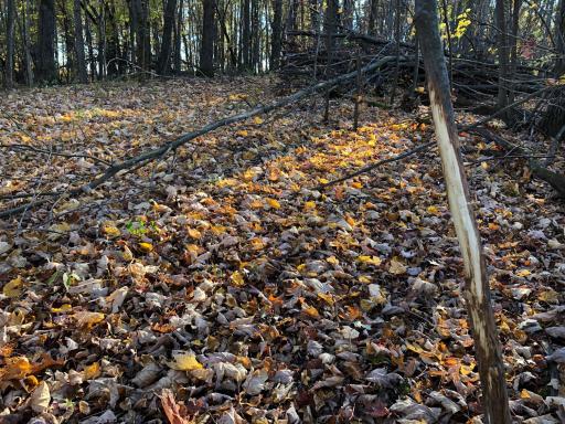 W20838 Call Valley Road, Strum, WI 54770