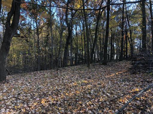 W20838 Call Valley Road, Strum, WI 54770