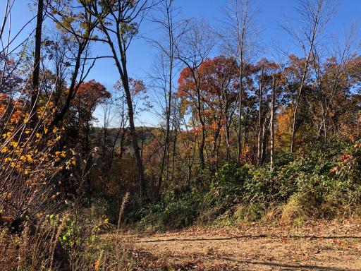 W20838 Call Valley Road, Strum, WI 54770