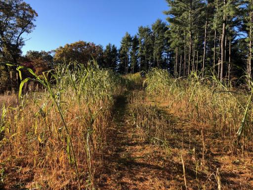 W20838 Call Valley Road, Strum, WI 54770