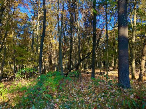 W20838 Call Valley Road, Strum, WI 54770