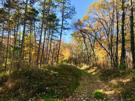 W20838 Call Valley Road, Strum, WI 54770