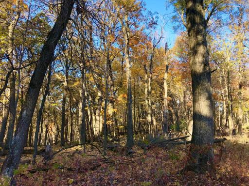 W20838 Call Valley Road, Strum, WI 54770