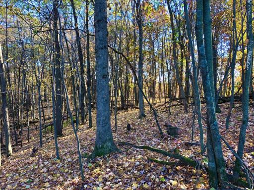 W20838 Call Valley Road, Strum, WI 54770