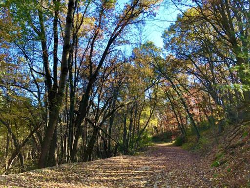 W20838 Call Valley Road, Strum, WI 54770