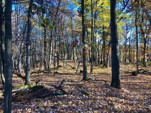 W20838 Call Valley Road, Strum, WI 54770