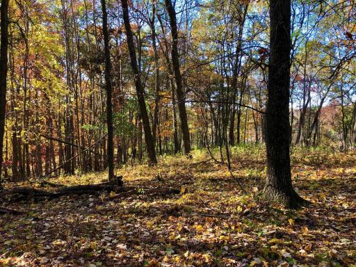 W20838 Call Valley Road, Strum, WI 54770