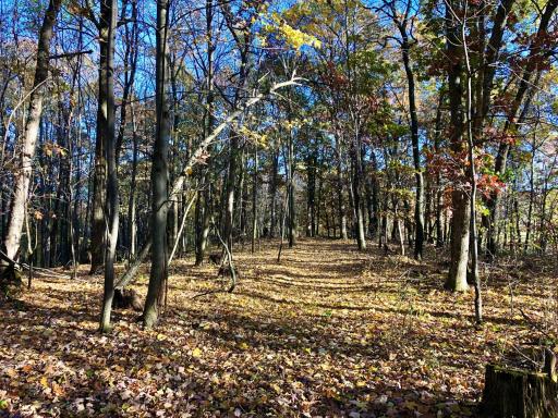 W20838 Call Valley Road, Strum, WI 54770