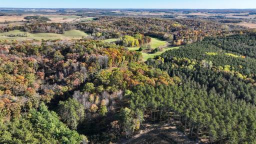 W20838 Call Valley Road, Strum, WI 54770