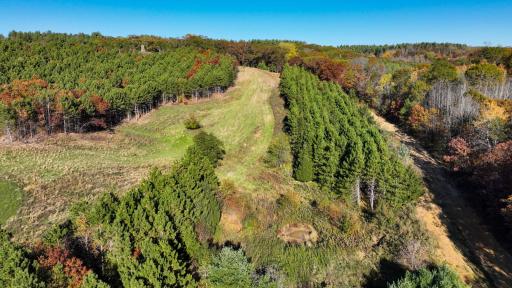W20838 Call Valley Road, Strum, WI 54770
