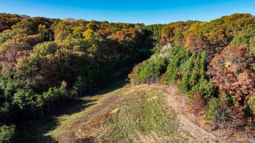 W20838 Call Valley Road, Strum, WI 54770