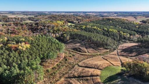 W20838 Call Valley Road, Strum, WI 54770