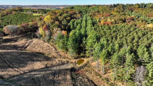 W20838 Call Valley Road, Strum, WI 54770