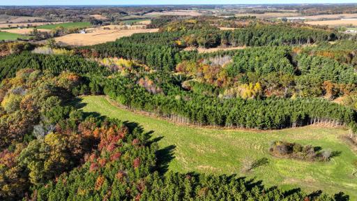 W20838 Call Valley Road, Strum, WI 54770