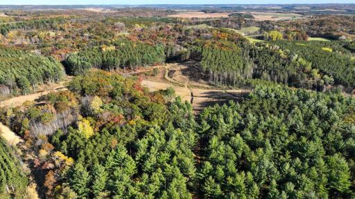 W20838 Call Valley Road, Strum, WI 54770