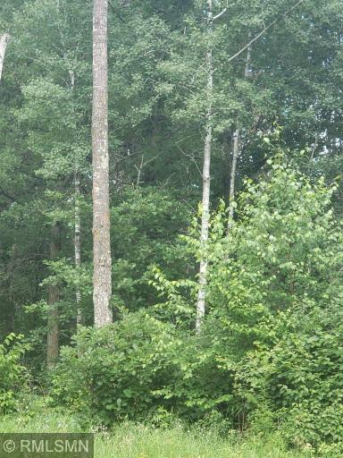 Photo for xxx Fools Lake Drive, Park Rapids, MN 56470 - Listing #5257134 xxx Fools Lake Drive, Park Rapids, MN 56470