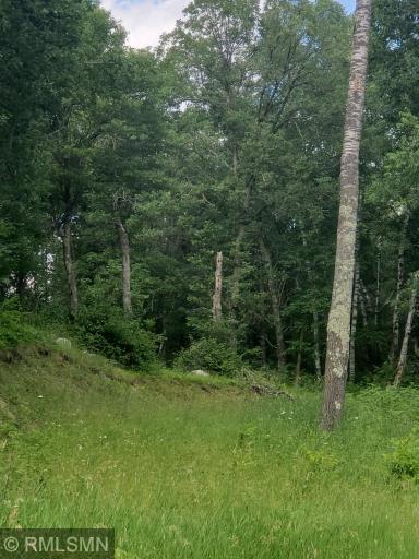 Photo for xxx Fools Lake Drive, Park Rapids, MN 56470 - Listing #5257134 xxx Fools Lake Drive, Park Rapids, MN 56470