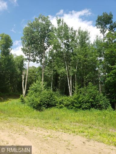 Photo for xxx Fools Lake Drive, Park Rapids, MN 56470 - Listing #5257134 xxx Fools Lake Drive, Park Rapids, MN 56470