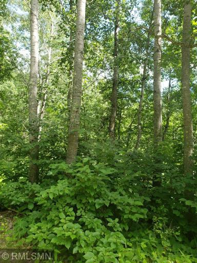 Photo for xxx Fools Lake Drive, Park Rapids, MN 56470 - Listing #5257134 xxx Fools Lake Drive, Park Rapids, MN 56470