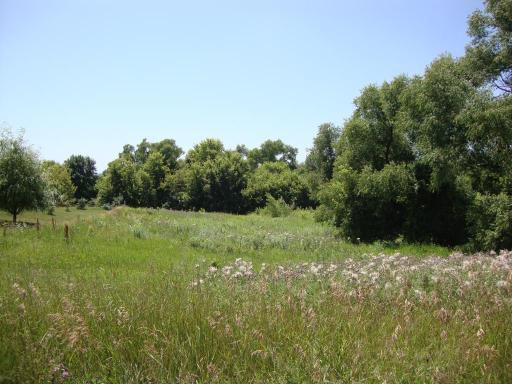 007 Adams Street SE, Hutchinson, MN 55350