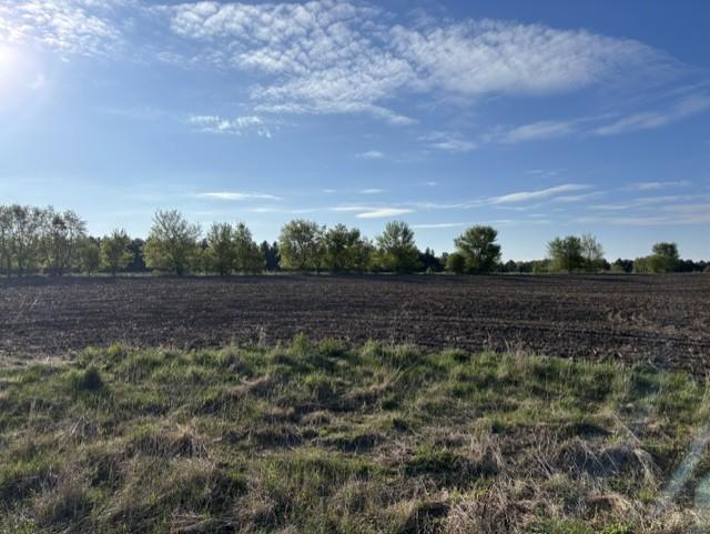 Property photo for TBD Island Estates (site 12) Drive NW, Pine Island, MN 55963